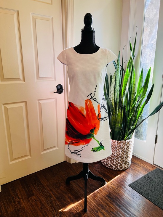 Dresses & Skirts - Maia White Floral Dress Size 2 Textured Shift Dress Red Flower Print